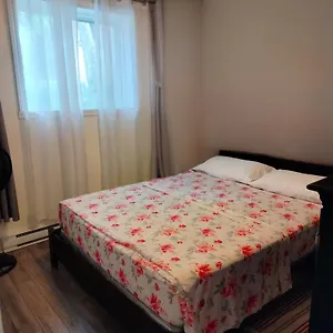 Cosy Montréal